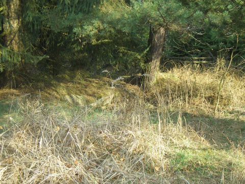 Foto 30